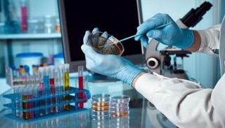 ابتكار دواء جديد لعلاج سرطان البروستاتا- أرشيفية