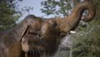 "كافان" يصل سالما إلى كمبوديا... ومغنية أمريكية في استقباله