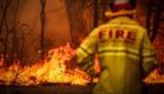 بالصور.. الجحيم يجتاح جنة أستراليا وجزيرة الكلاب