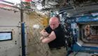 علماء يبحثون لغز المشاكل الصحية لرواد الفضاء.. كلمة السر ميتوكوندريا