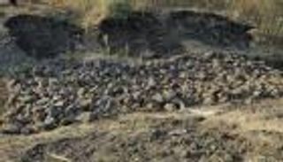 برلمان إثيوبيا يكشف تفاصيل مجزرة "ماي خضراء"