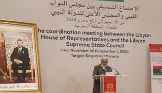 بيان مُشترك دعا إلى التمسك بملكية ليبيا للعملية السياسية ورفض التدخلات الأجنبية