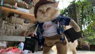إندونيسي يصمم أزياء للقطط