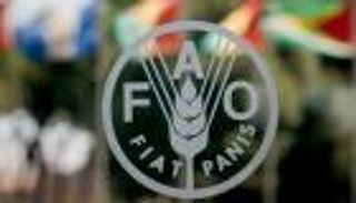 أسعار الغذاء تقفز  إلى أعلى مستوى في 6 سنوات