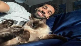 قطة محمد صلاح نجم ليفربول