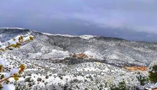 مدن الجزائر تكتسي الحلة البيضاء بالثلوج