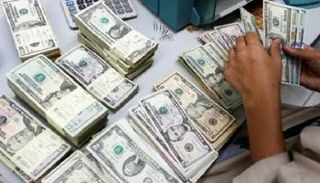 استقرار سعر الدولار في مصر