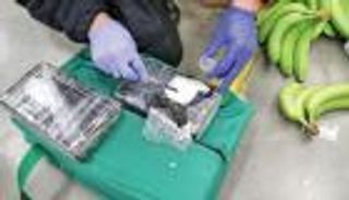 ضبط كوكايين بـ100 مليون إسترليني في لندن.. الموز يبوح بالأسرار