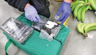 العثور على طن من الكوكايين بميناء لندن مخبأة في الموز- أرشيفية