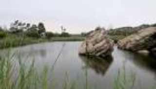 لامبيرتس باي.. رحلة نادرة إلى جنة السياحة الطبيعية بجنوب أفريقيا