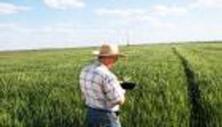 الإنترنت فائق السرعة "يغرق" الريف الأمريكي