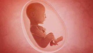 ينبغي تقديم الدعم للحامل فيما يتعلق بالمشكلات النفسية