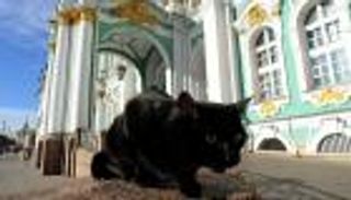 3 آلاف يورو "تركة" لأشهر قطط روسيا