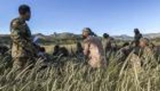 لجنة تحقيق تعلن حصيلة قتلى "مجزرة ماي" بإثيوبيا