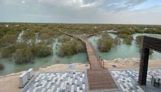 ممشى القرم في جزيرة الجبيل