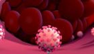 دراسة: استهداف الخلايا البطانية يحارب كورونا