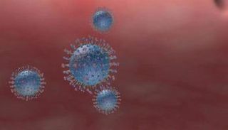 فيروس كورونا