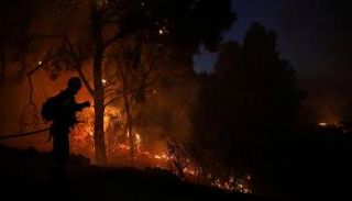 جانب من حرائق كاليفورنيا