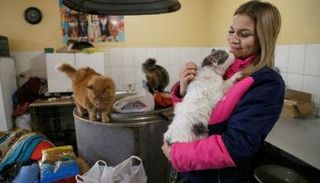 حتى الحيوانات تخسر من البريكست