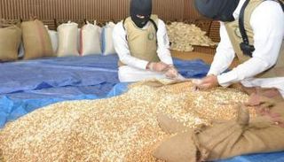 الحبوب كانت مُخبأة ضمن شحنة 