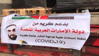 قافلة المساعدات الإماراتية إلى غزة