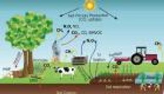 هل يحل "عالم بلا لحوم" أزمة المناخ؟ دراسة دولية تجيب