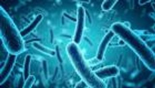 مكمل غذائي قد يحل مشكلة السمنة ويحسن الصحة العقلية