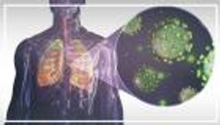 إنفوجراف.. كورونا المستجد والسلالة الجديدة.. تشابهات عدة واختلاف وحيد