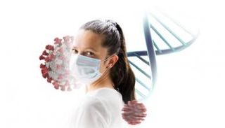 سلالة كورونا الجديدة 