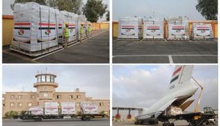 طائرة المساعدات المصرية