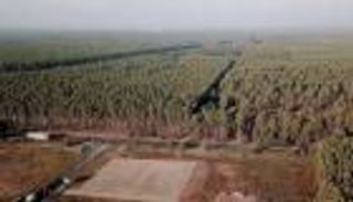 تسلا تستأنف بناء مصنعها بألمانيا.. لكن "السحالي" لا تزال عقبة 