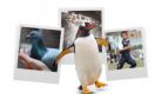 إنفوجراف.. أغرب 4 أحداث في 2020