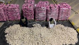 السعودية تحبط تهريب 11 مليون قرص أمفيتامين