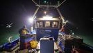 30 ألف يورو للصياد.. فرنسا تفدي أسماك بريطانيا بأموالها