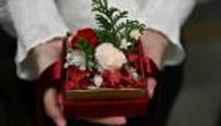 الأزهار تداوي ما أفسده السجن بهونج كونج.. هدايا خاصة في عيد الميلاد