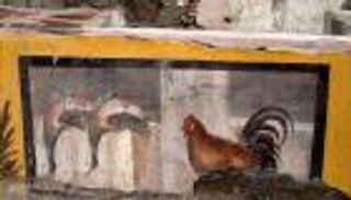 بالصور.. اكتشاف أطعمة عمرها 2000 عام بمطعم أثري في إيطاليا