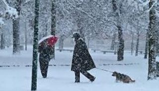 رجل يسير مع كلبه في إيطاليا