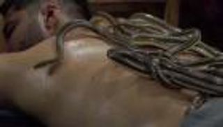 بالفيديو.. تدليك الثعابين في مصر ليس لأصحاب القلوب الضعيفة