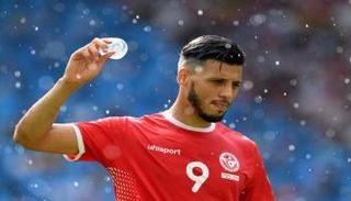 أنيس البدري