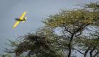 حرب في سماء كينيا بين طائرات الرش ومليارات الجراد