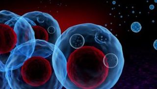 السرطان يعد أحد الأسباب الرئيسية للوفاة في العالم - أرشيفية