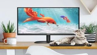 "إيه أو سي" تطرح شاشات جديدة