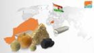 "الأغذية العالمي" يمنح النيجر مليار دولار لمواجهة المجاعة