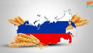 القمح الروسي ينجح في اختبارات السوق الجزائري