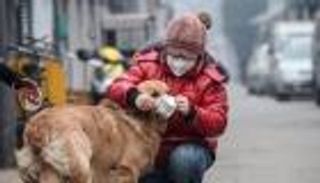 كمامات لإنقاذ كلاب ووهان من كورونا.. 50 ألف حيوان في خطر