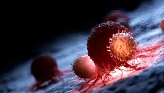 طريقة جديدة لتقوية المناعة في مواجهة السرطان