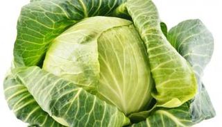 الكرنب يساعد في مكافحة الكبد الدهني