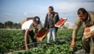آخرها قيود التجارة.. إسرائيل تضيق الخناق على اقتصاد فلسطين