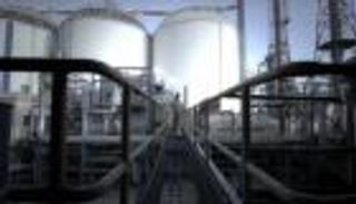 مملوكة لشركة إماراتية .."القناة للسكر" تبدأ الإنتاج بمصر في 2021 