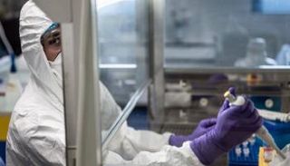 التجارب قبل السريرية على عقار 